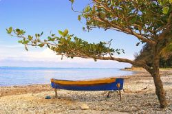  Roatan, honduras. by Shawn Jackson 